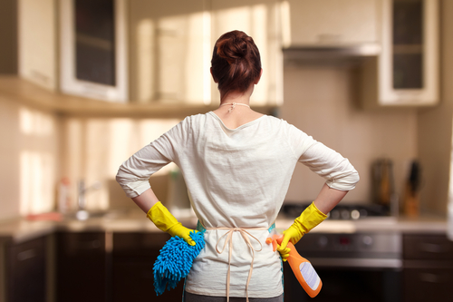 why-book-a-professional-cleaning-service-maid-service-fort-collins