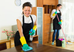 what to expect from a house cleaner