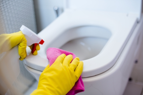 How To Clean Mineral Buildup In The Toilet - eMaids