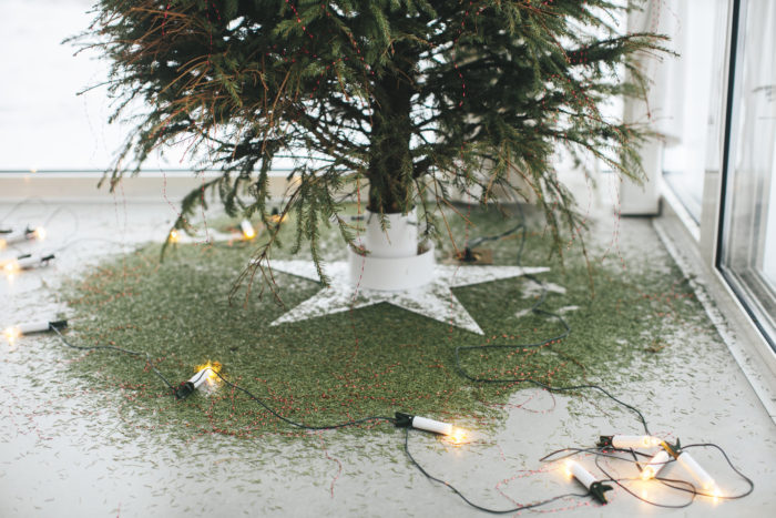 Pine needles that have fallen off a Christmas tree